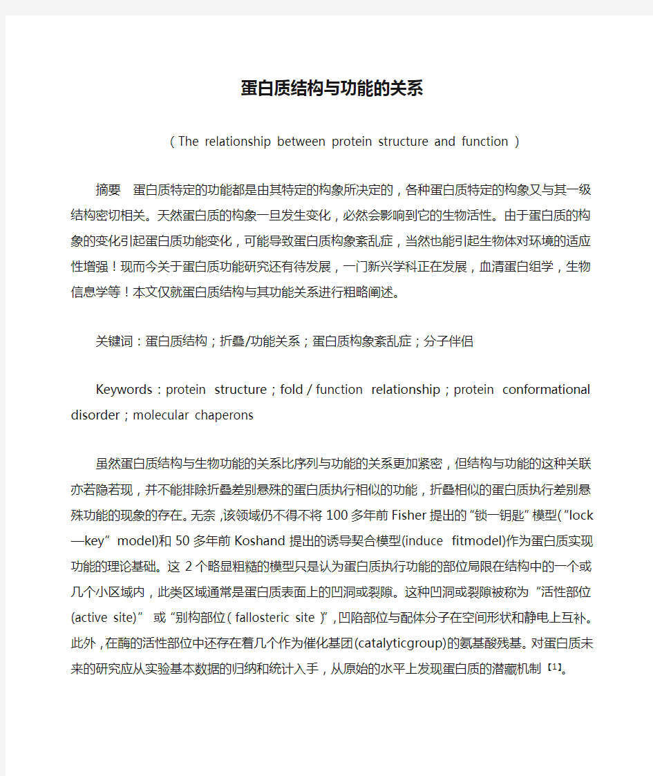 蛋白质结构与功能的关系