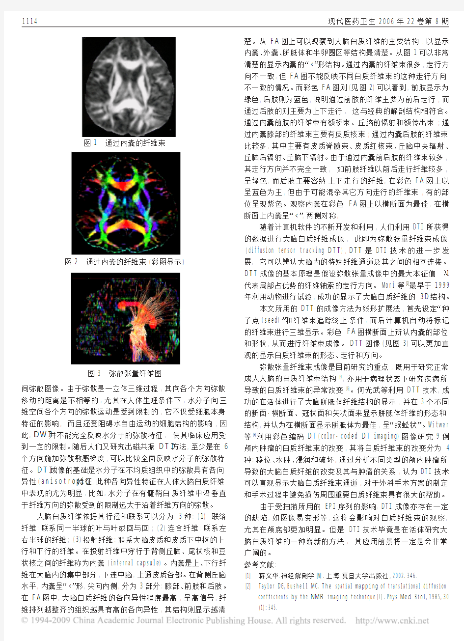正常成人大脑内囊磁共振弥散张量成像研究