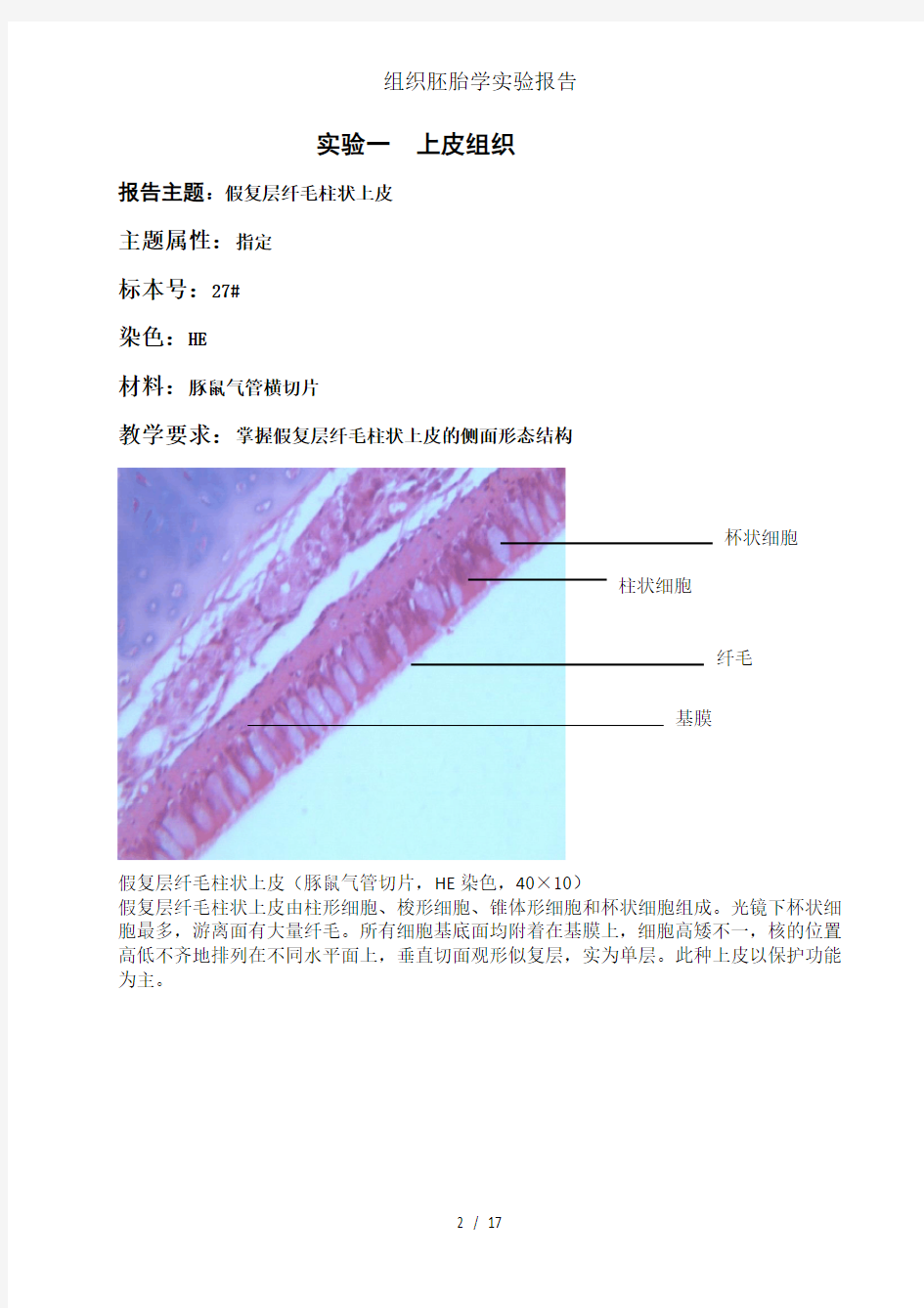 组织胚胎学实验报告