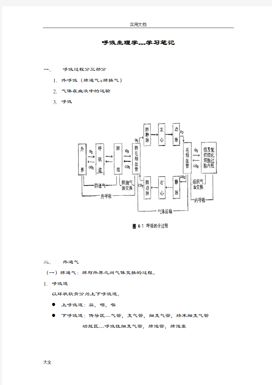 精华整理：呼吸生理学-学习笔记