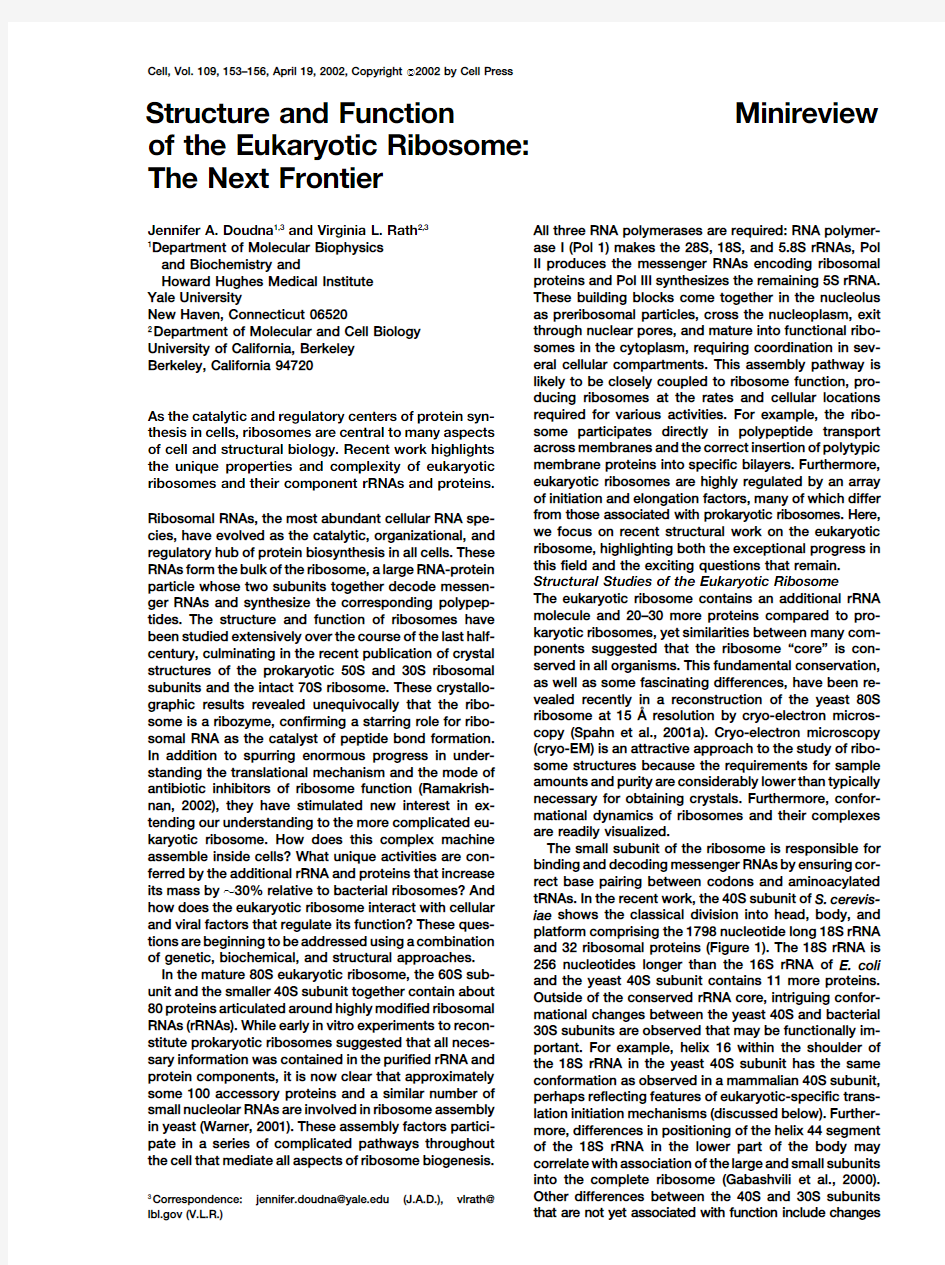 Structure and function of the eukaryotic ribosome-the next frontier