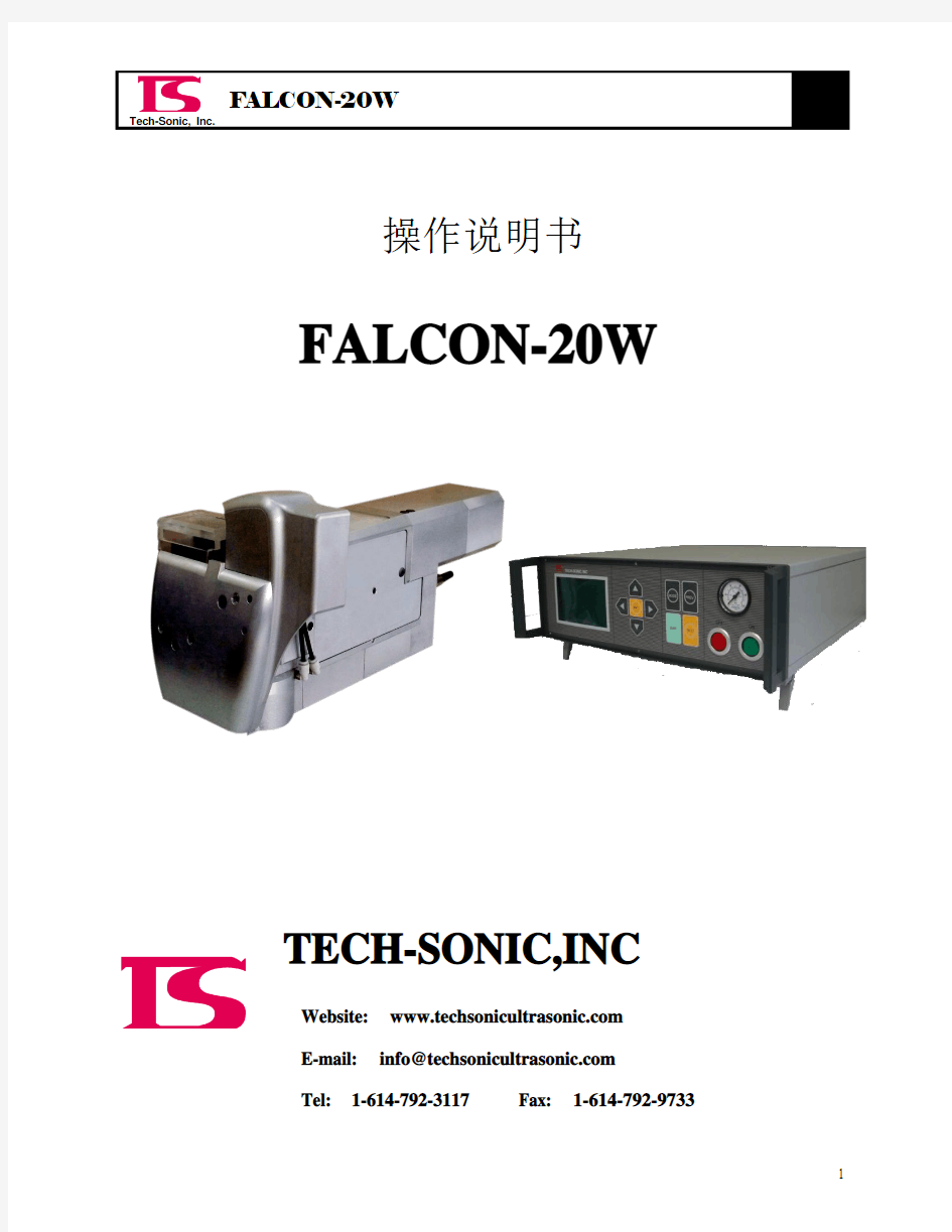 Falcon-20W中文