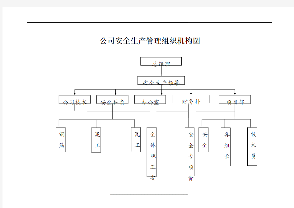 公司安全生产组织机构的设置及组织机构图