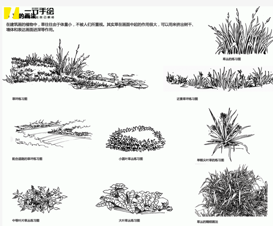 手绘配景的画法(草,花,树,水)画法教程步骤图