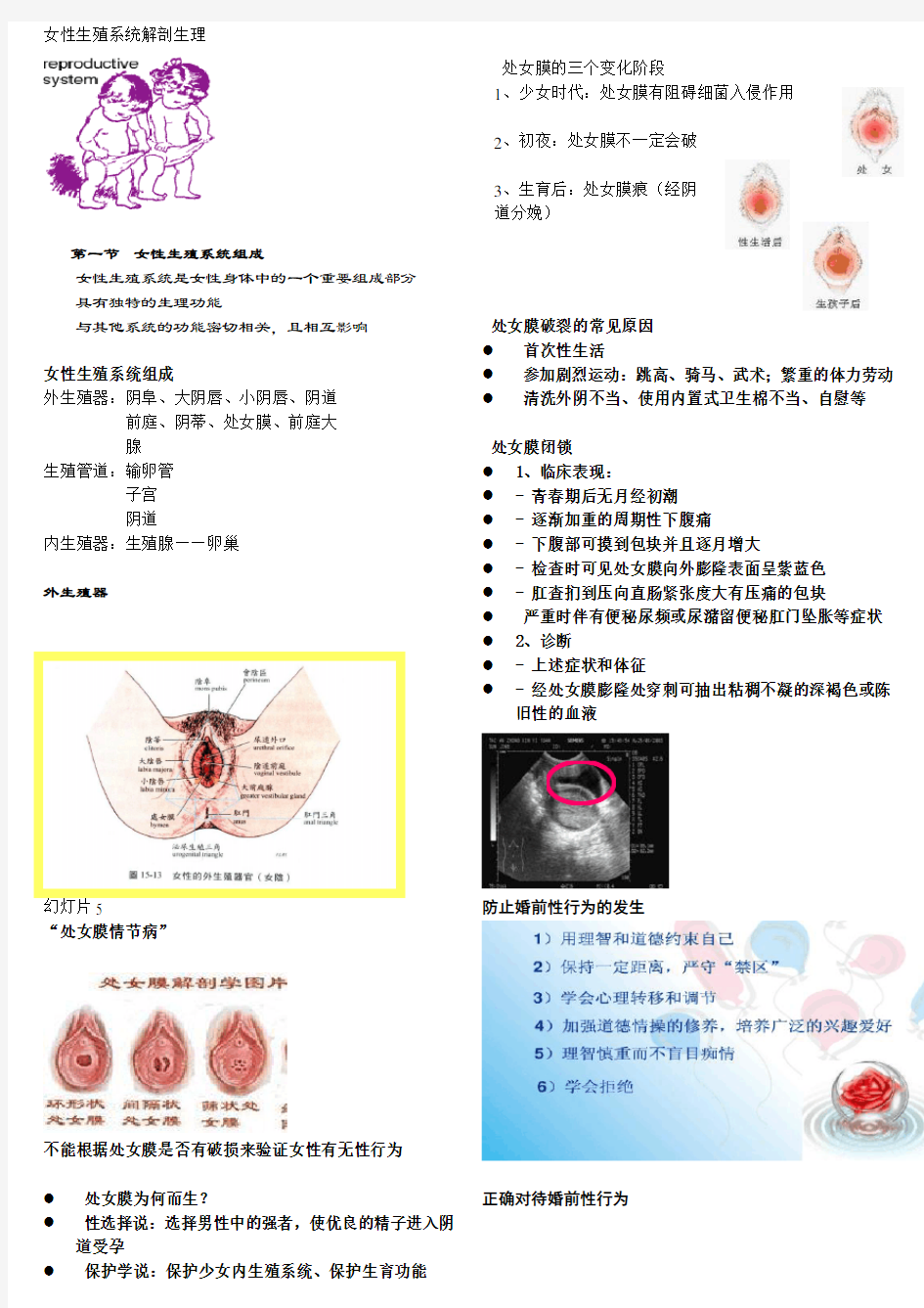 女性保健-女性生殖系统解剖与生理-1