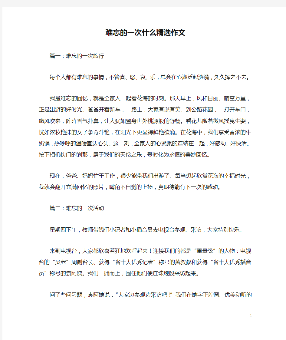 难忘的一次什么精选作文