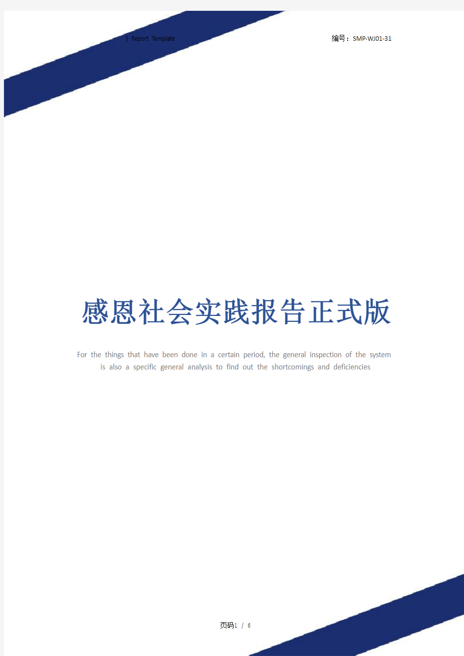 感恩社会实践报告正式版