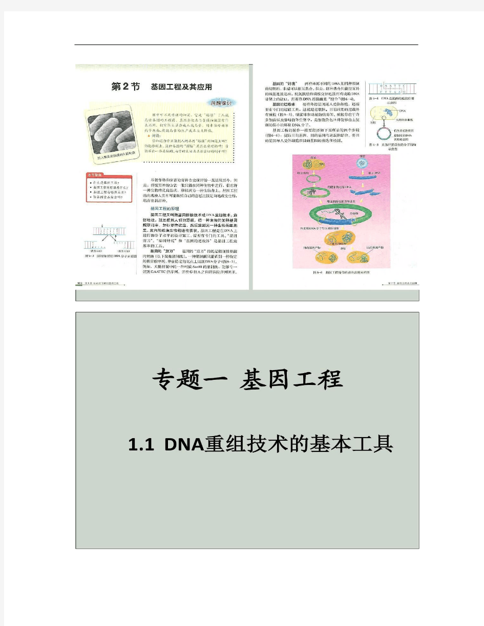 生物选修三：专题一基因工程 1.1DNA重组技术的基解析