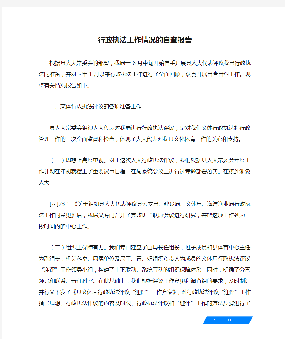 行政执法工作情况的自查报告