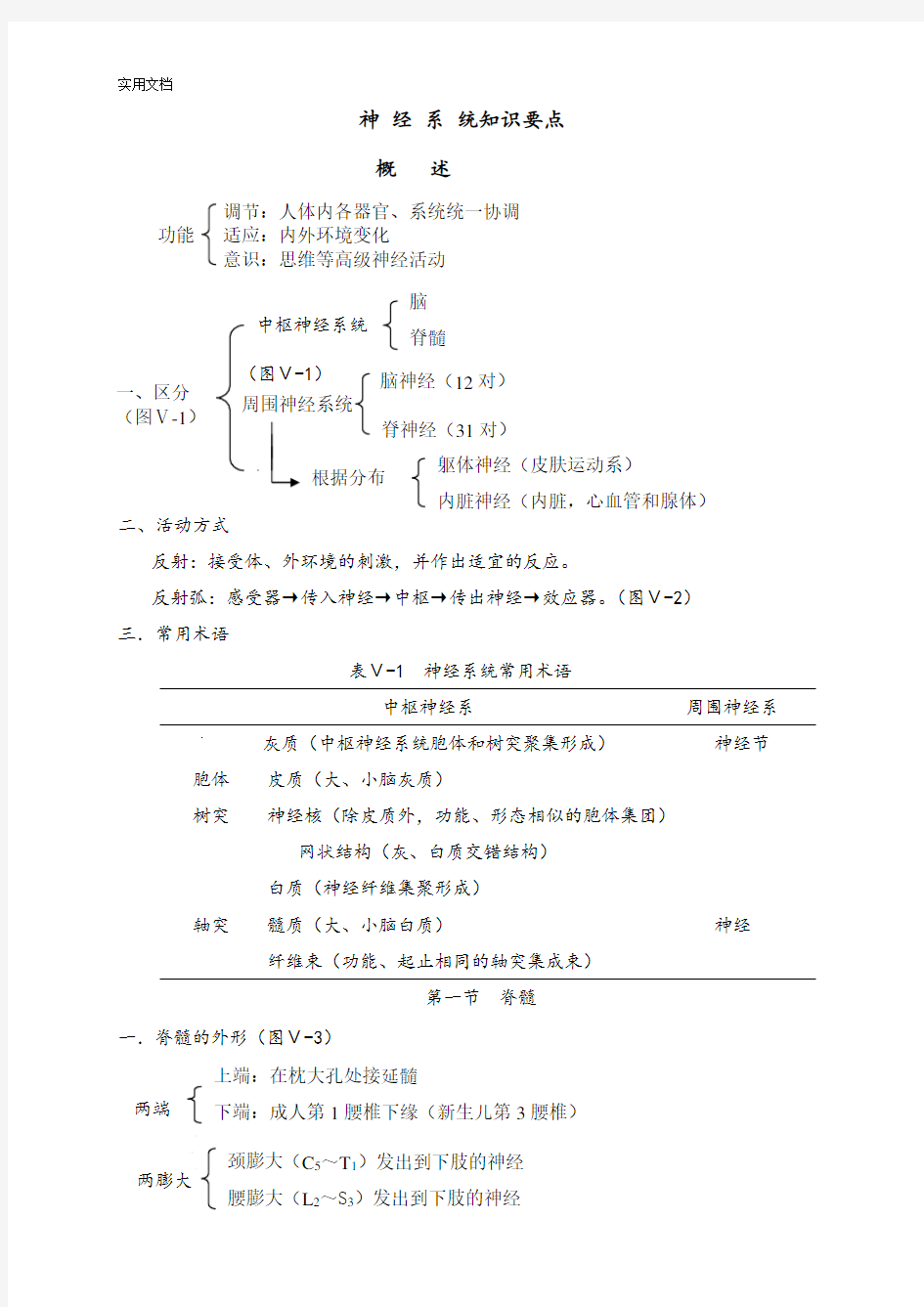 神经系统知识要点