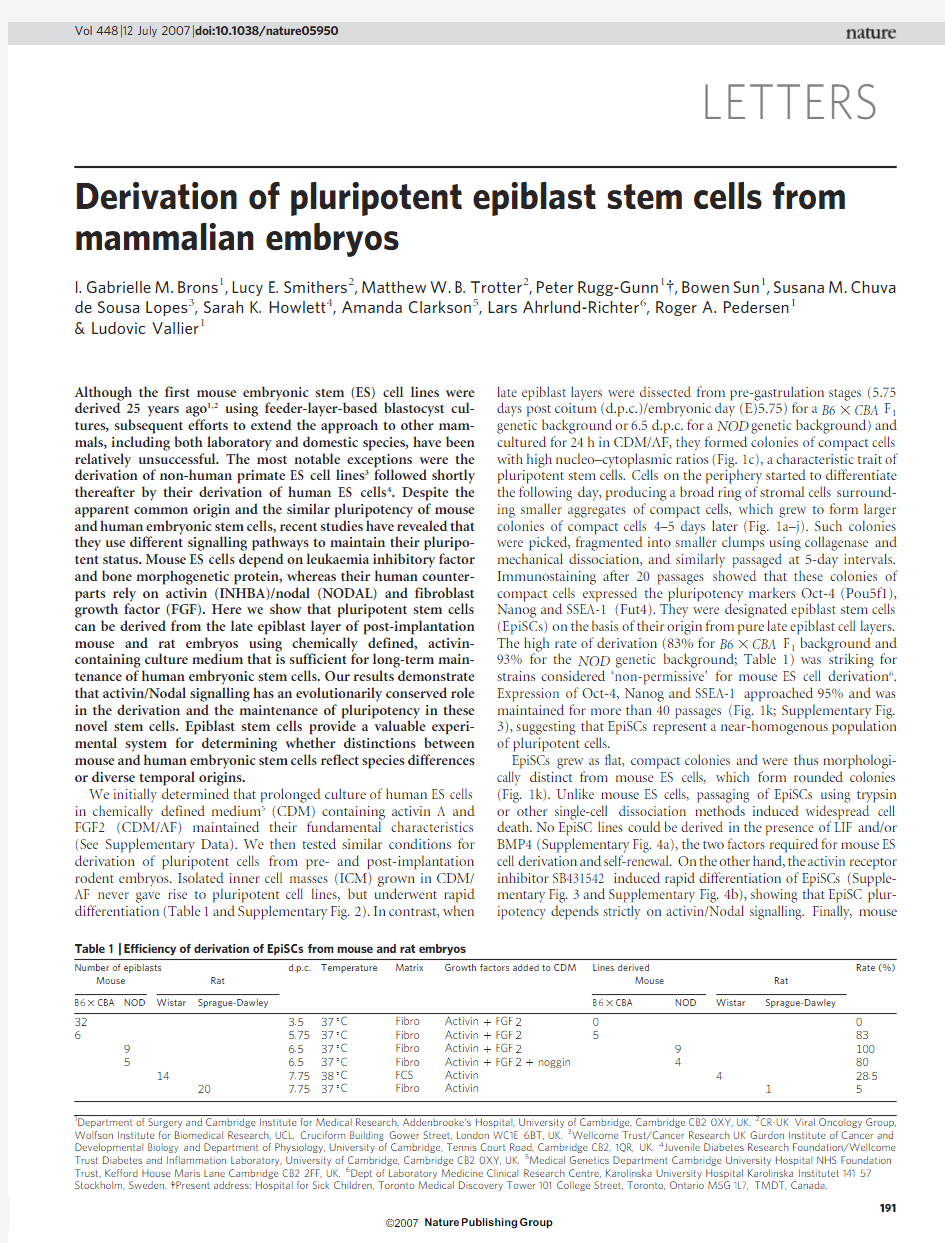 Derivation of pluripotent epiblast stem cells from mammalian embryos