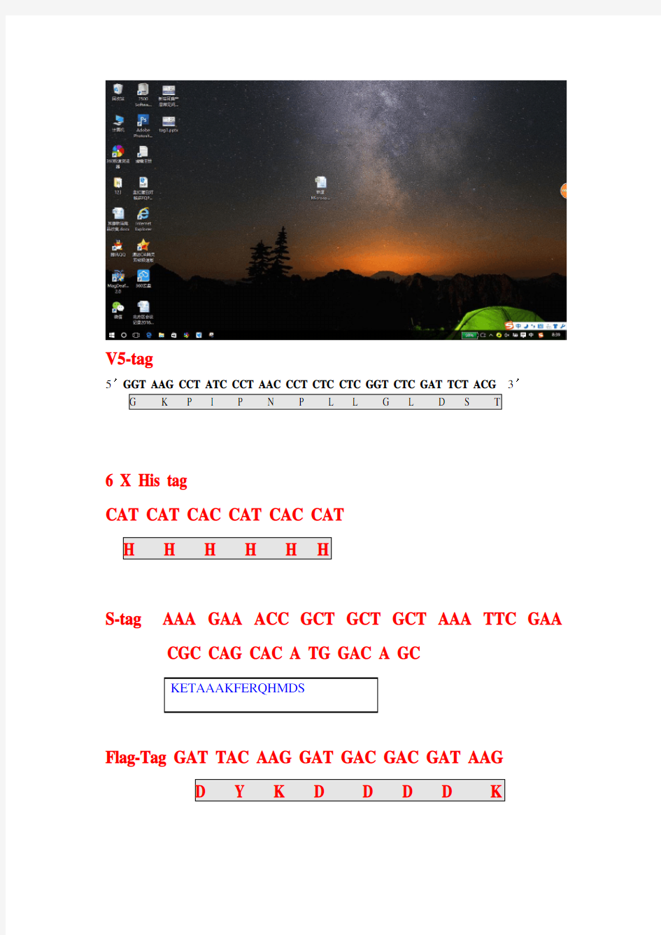 各种标签Tag的核苷酸与氨基酸序列