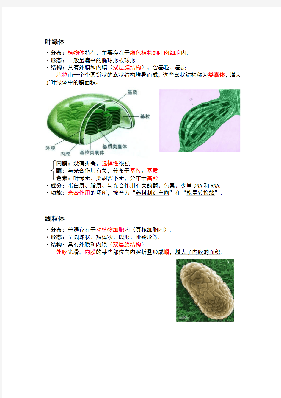 高一生物细胞器知识点总结