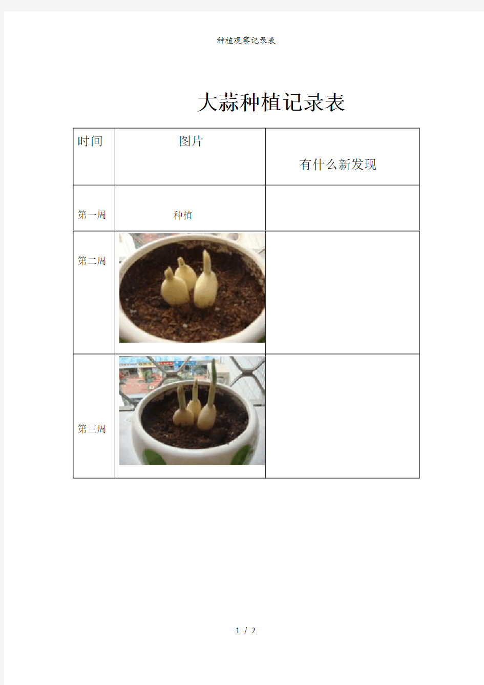 种植观察记录表