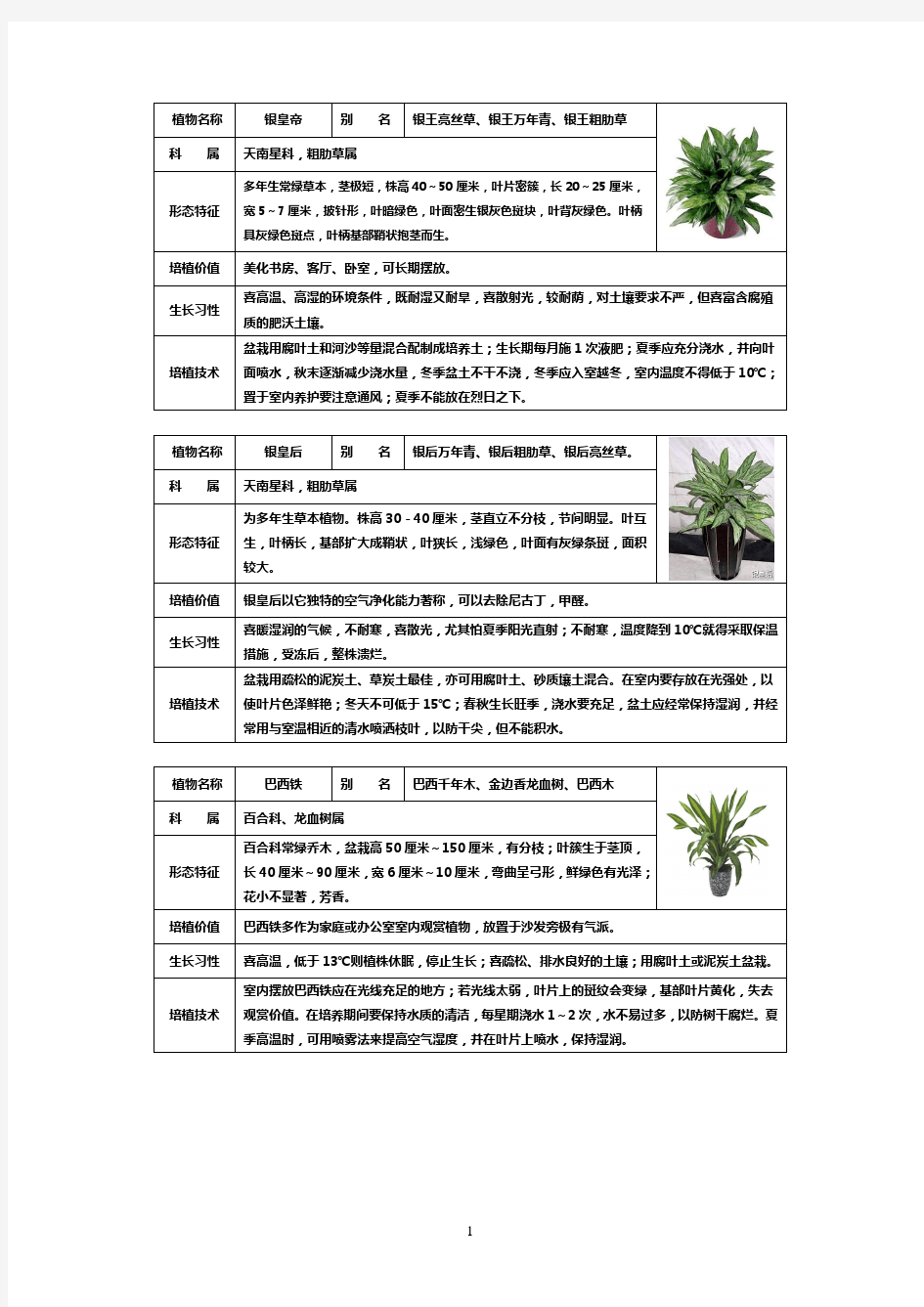 50种常见室内盆栽绿化植物介绍_带图片_