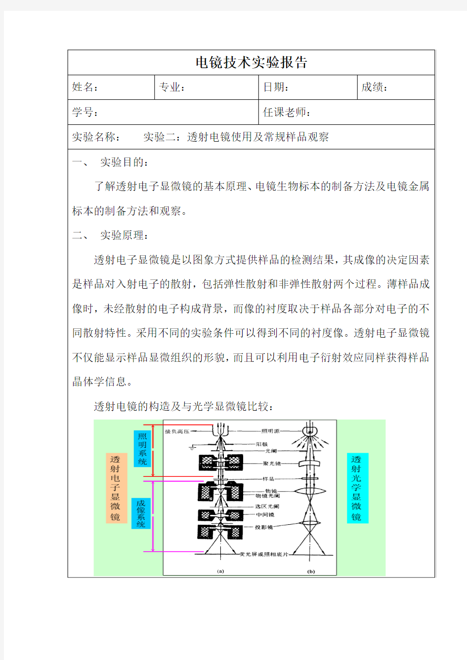 透射电镜使用及常规样品观察