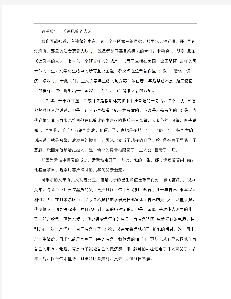 追风筝的人读书报告