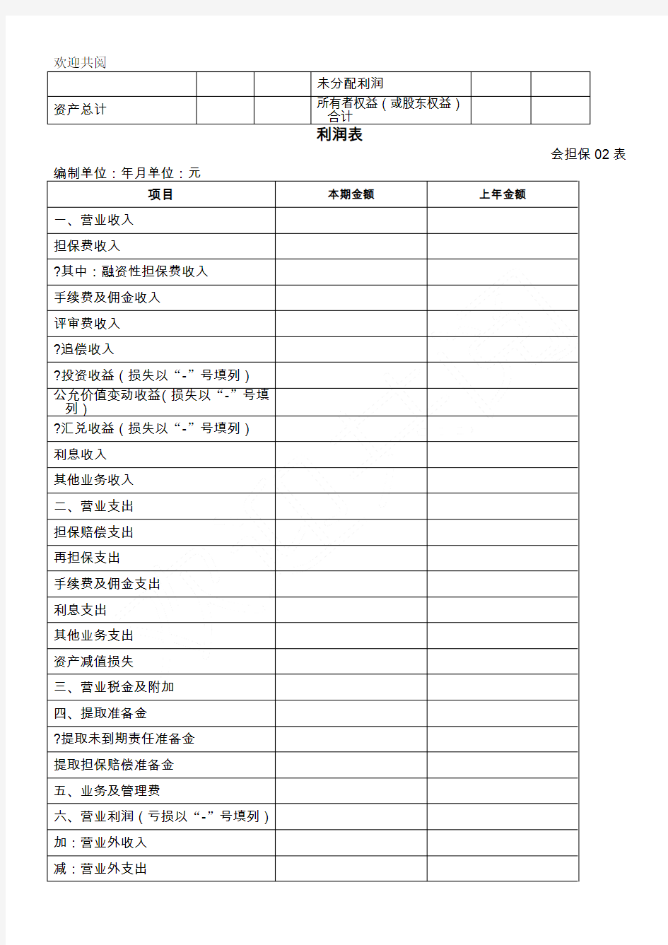 融资性担保公司财务报表格模板