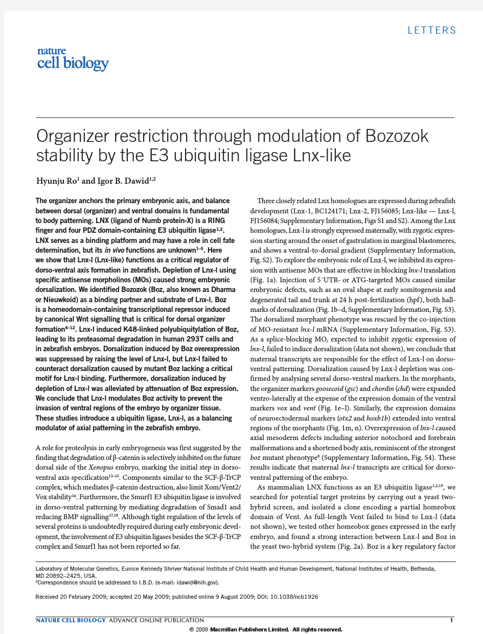 Organizer restriction through modulation of Bozozok