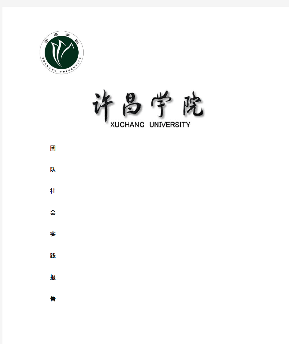 大学生暑期社会实践团队总结报告