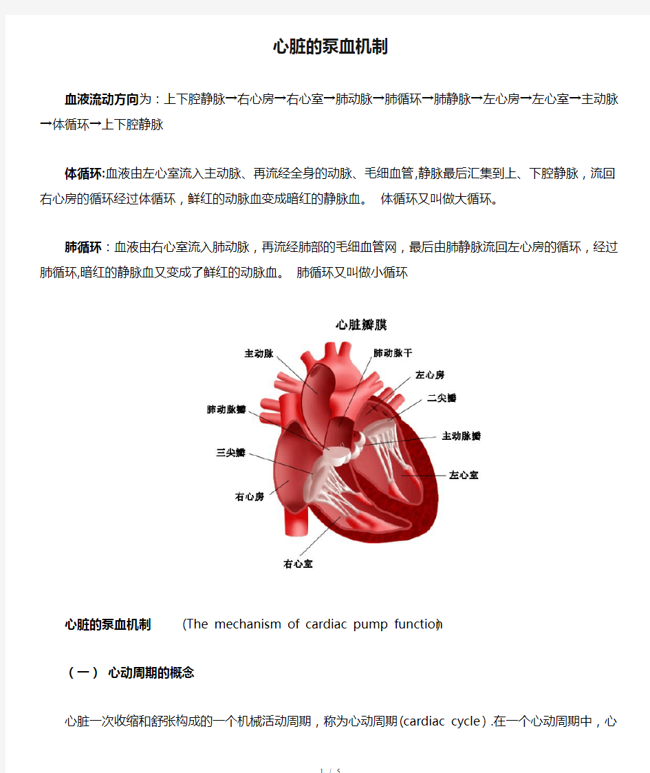 心脏的泵血机制
