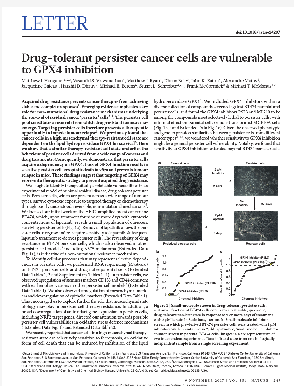 Drug-tolerant persister cancer cells are vulnerable to GPX4 inhibition