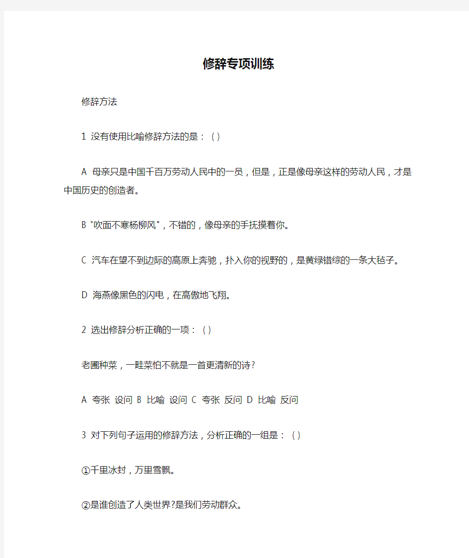 初中语文专项训练大全 修辞专项训练