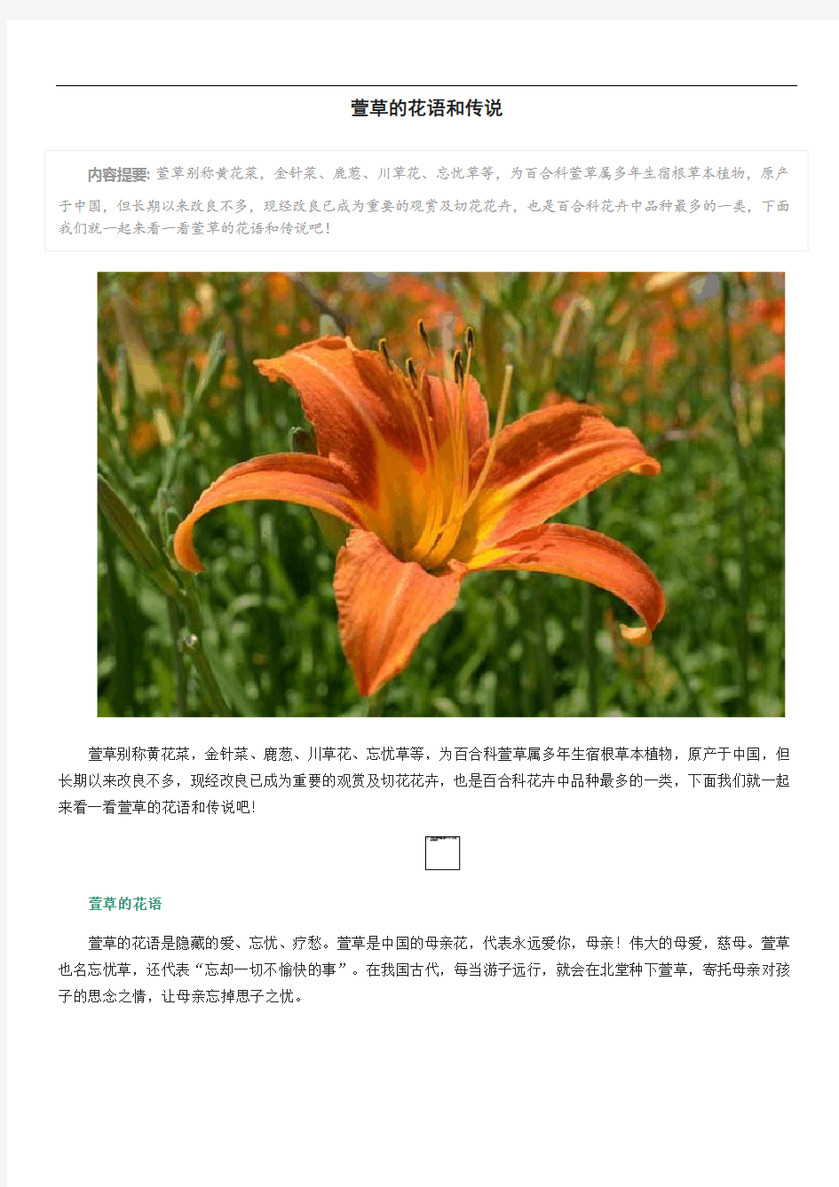 萱草的花语和传说