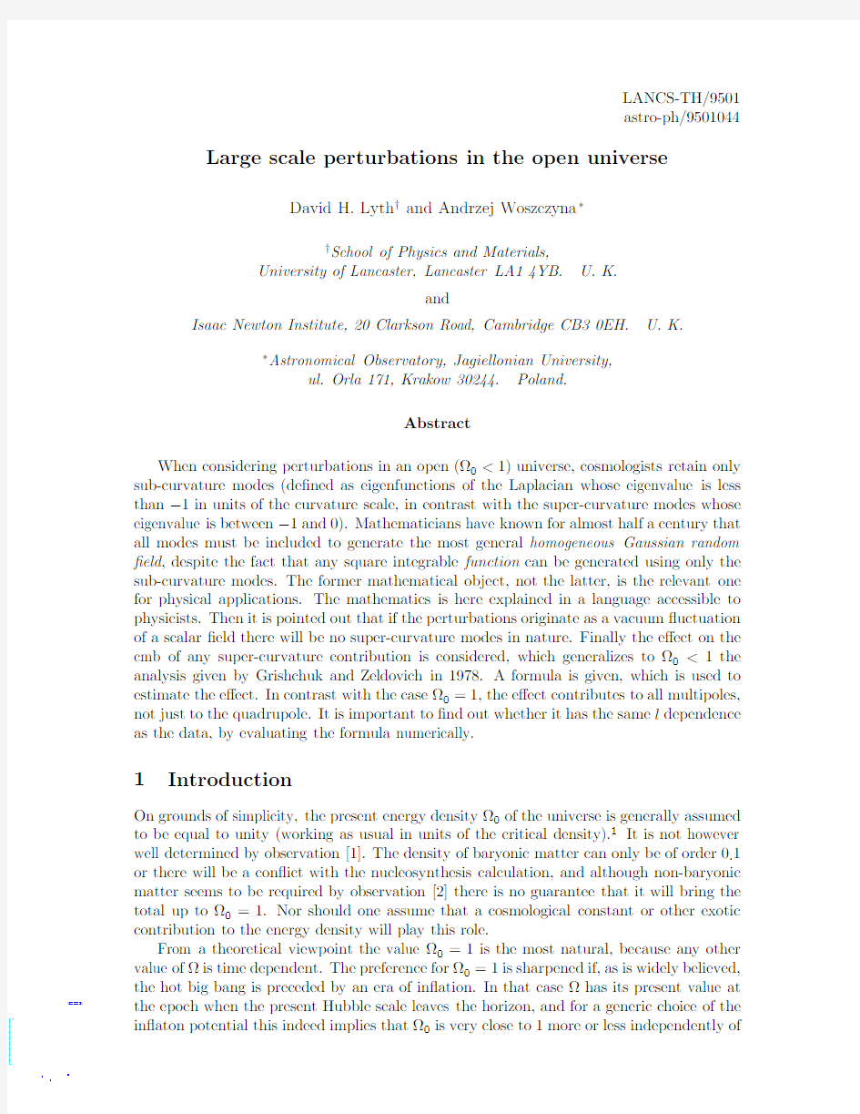 LARGE SCALE PERTURBATIONS IN THE OPEN UNIVERSE