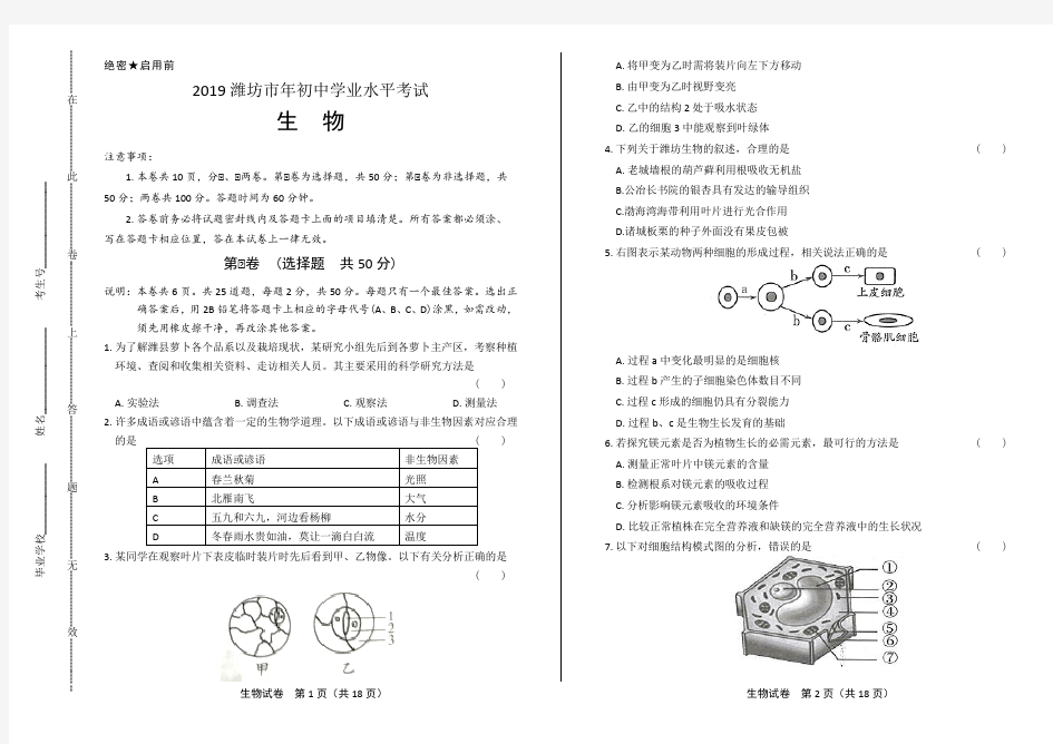 2019年山东省潍坊中考生物试卷(附答案与解析)