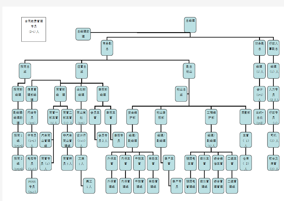 商业管理公司组织架构