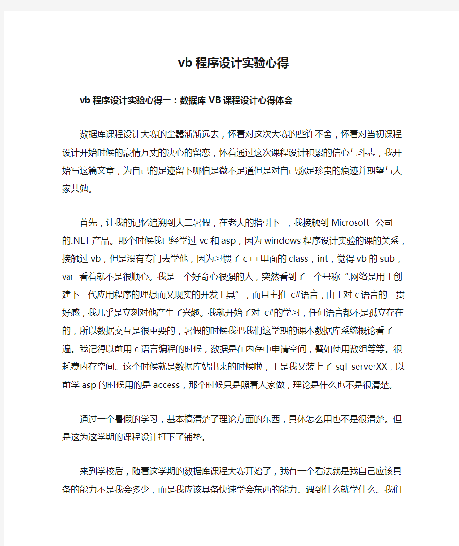 vb程序设计实验心得