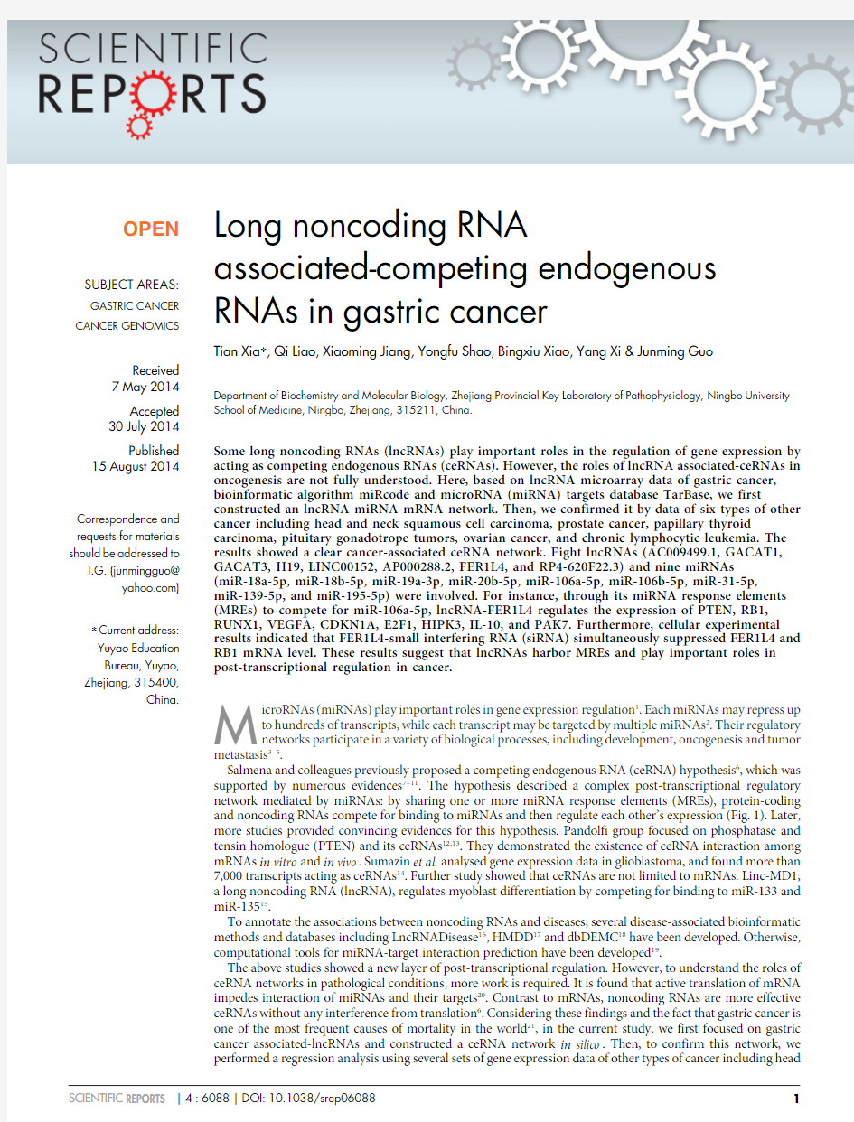 lncRNA-miRNA-ceRNA网络