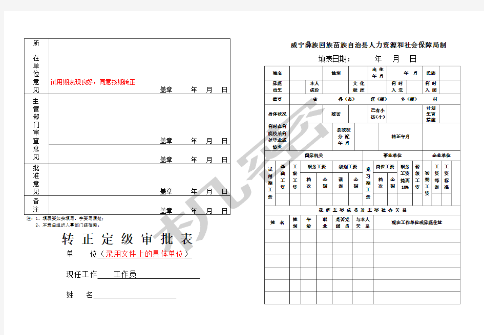 转正定级表模板