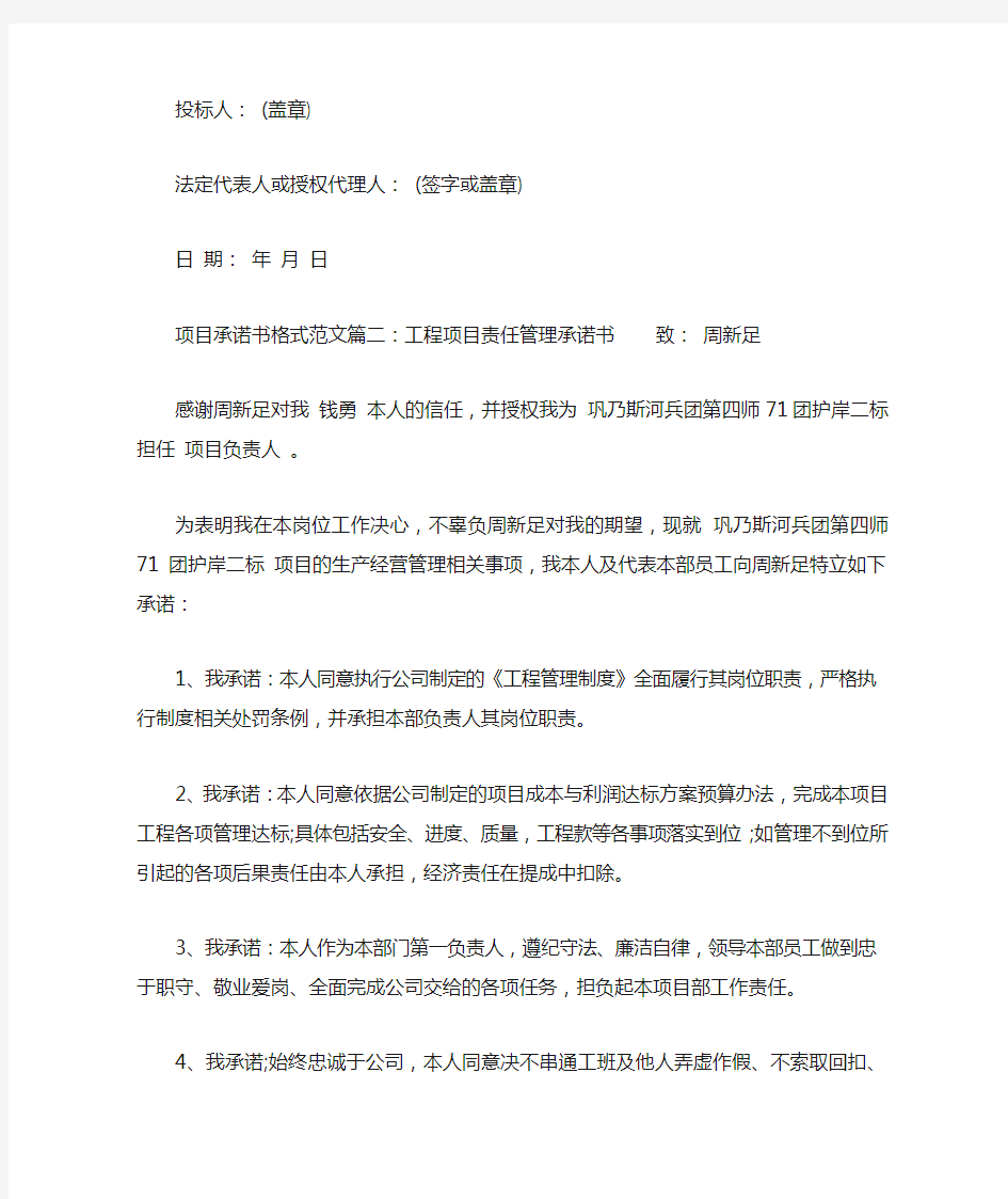 项目承诺书格式范文