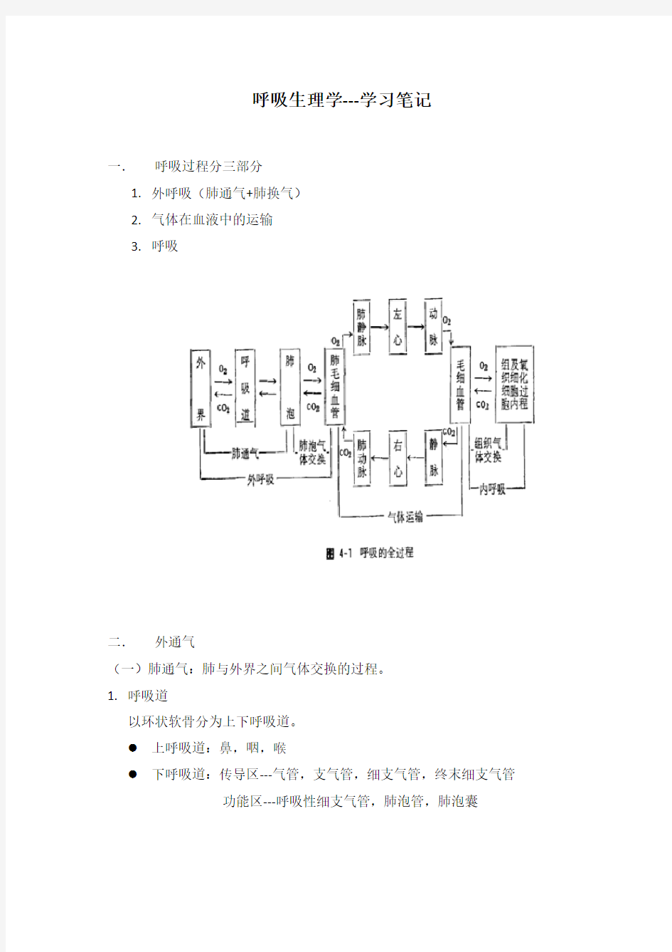 精华整理_呼吸生理学_学习笔记