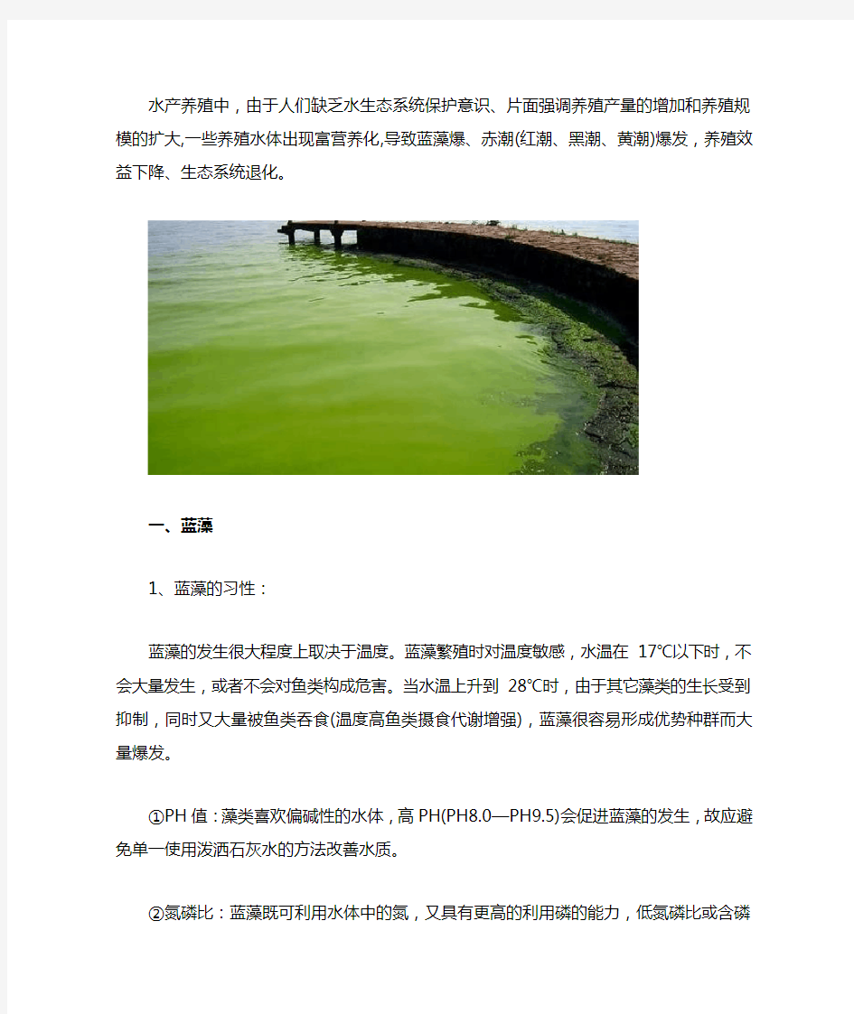 池塘蓝藻绿藻怎么才能清除
