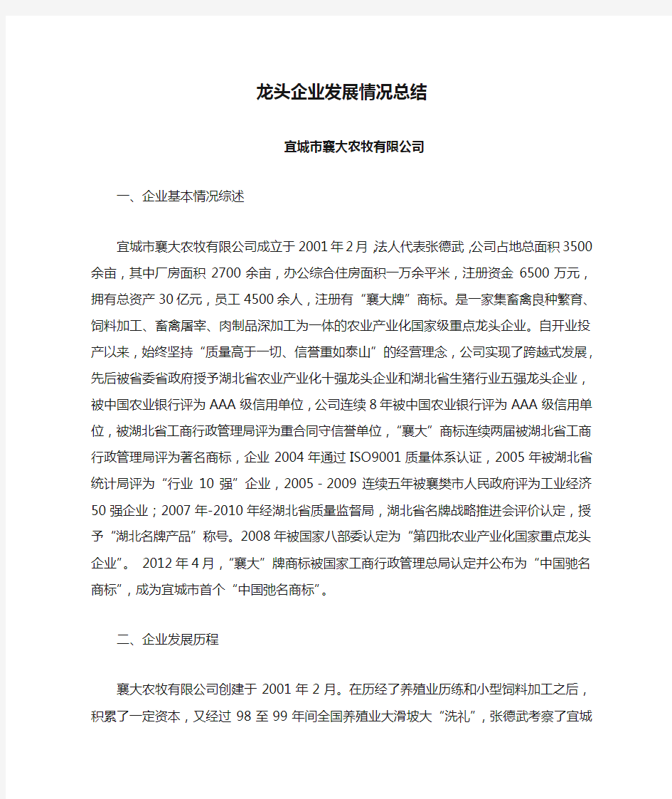 龙头企业发展情况总结解析