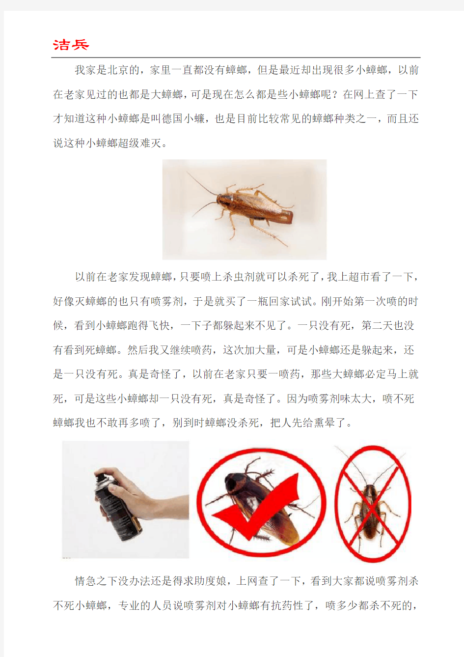 北京家庭灭蟑螂的经验分享