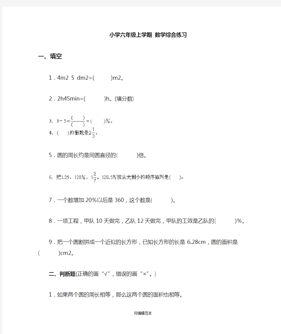 小学六年级上学期数学综合练习题及答案