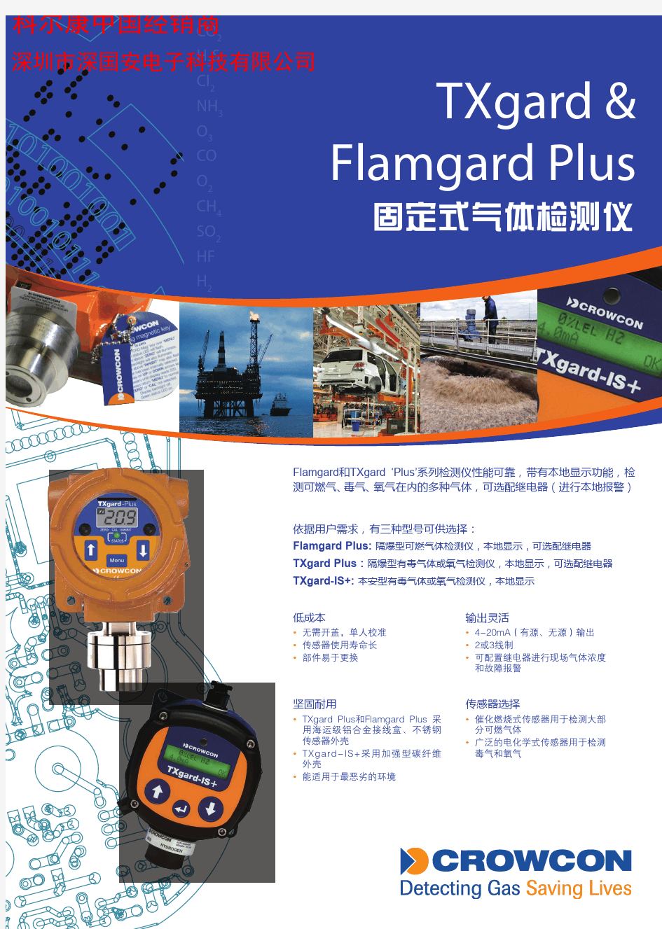 英国科尔康TXgard &Flamgard Plus CROWCON固定带显示气体检测仪