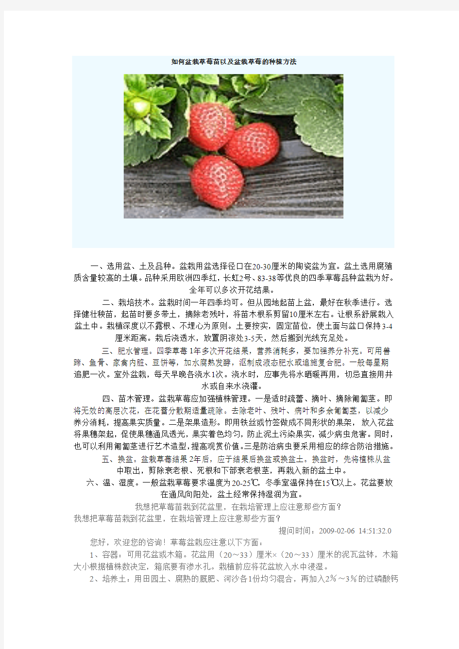 如何盆栽草莓苗以及盆栽草莓的种植方法