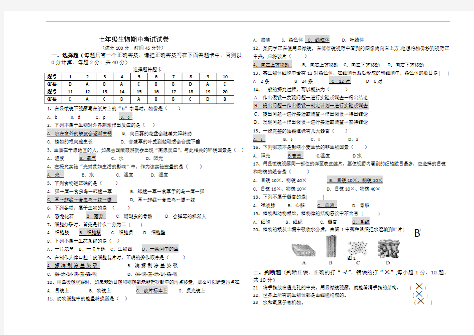 人教版七年级生物上册期中考试试题(含答案)