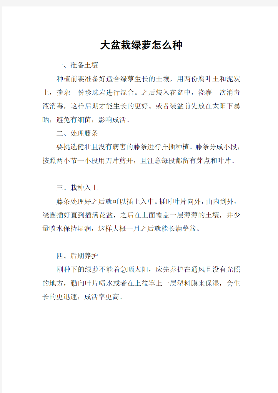 大盆栽绿萝怎么种