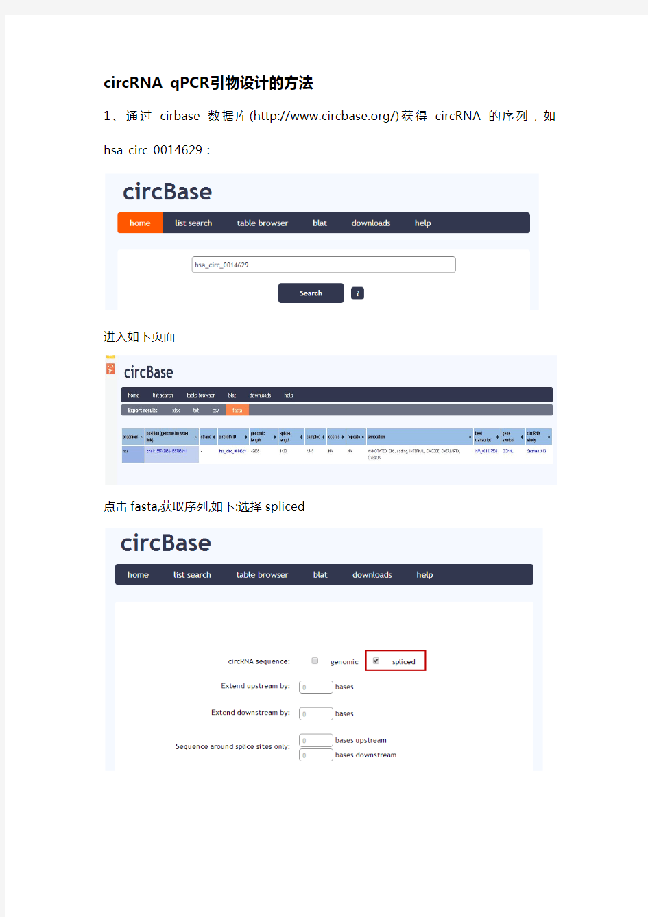 circRNA qPCR引物设计的方法