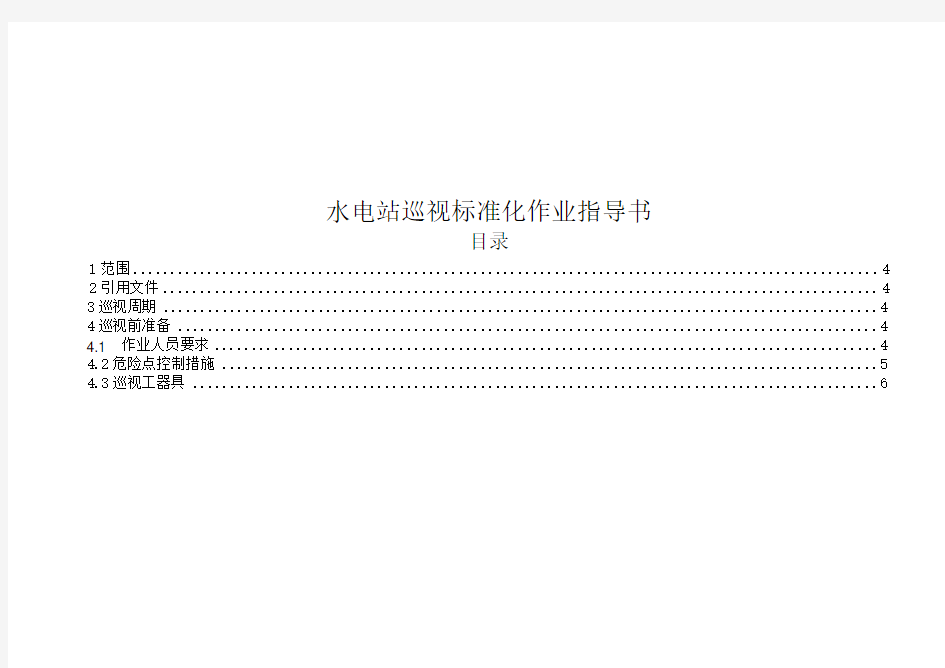 水电站巡视标准化作业指导书