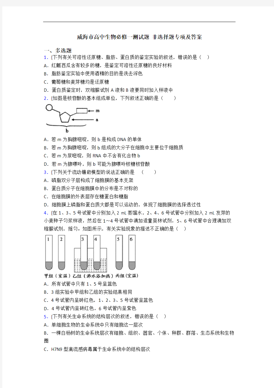 威海市高中生物必修一测试题 非选择题专项及答案