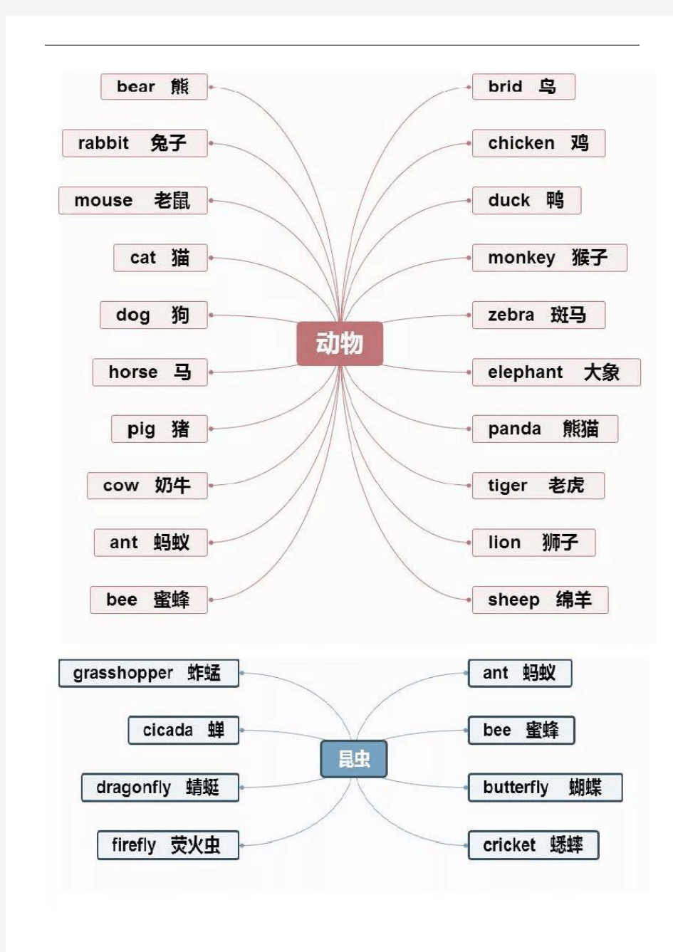 小学英语重点知识思维导图汇总