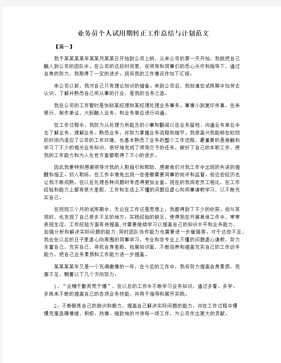 业务员个人试用期转正工作总结与计划范文