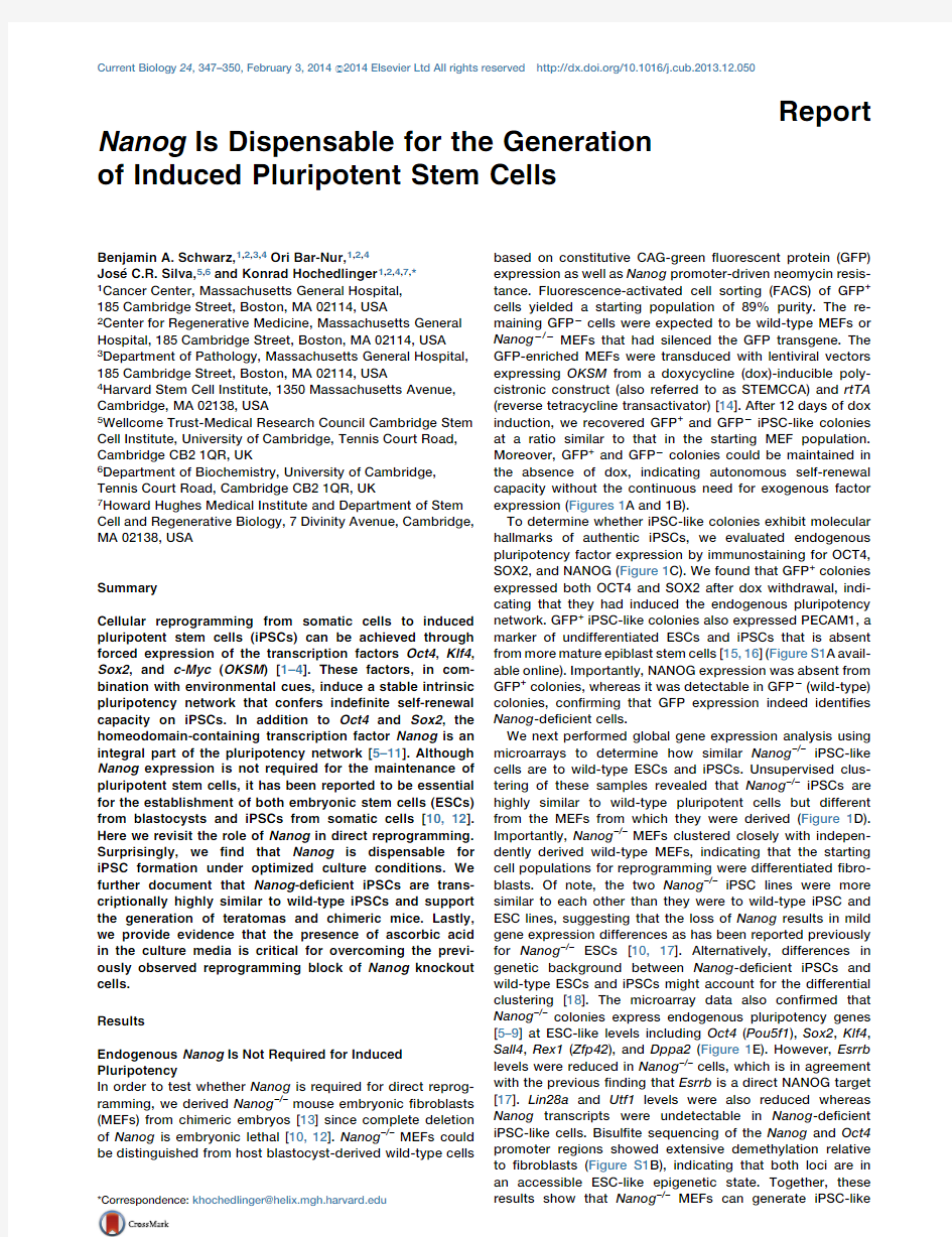 Nanog Is Dispensable for the Generation of Induced Pluripotent Stem Cells